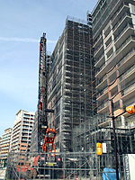 ib_1559_0816_01.jpg