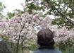 【動画】四季問わず桜咲く「清里　桜の里」