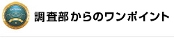 調査部からのワンポイント