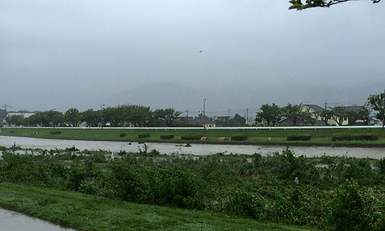福岡市　13：30　氾濫する室見川　近隣の住民には避難勧告が出された