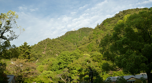 岐阜公園から天守が見える。光に照らされ、非常に見えづらい