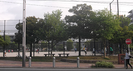 姪浜駅南公園