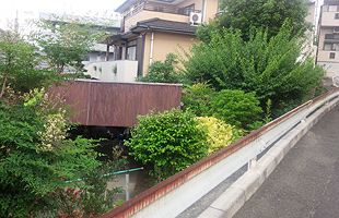 写真左が占有された市有地の一部。右は筑紫丘中学校の外周道路