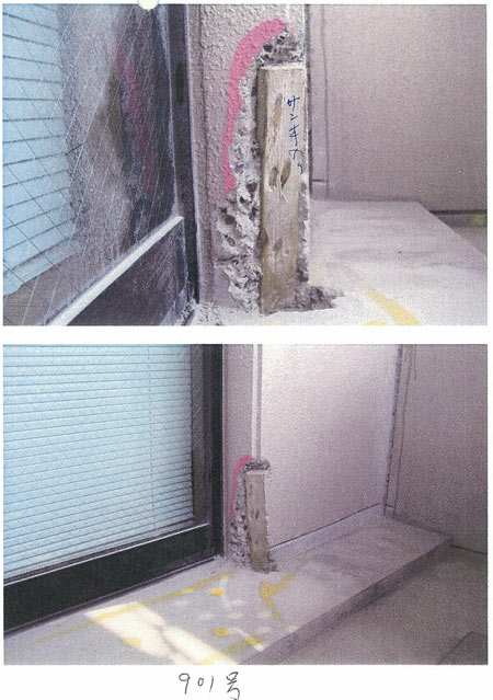 コンクリート内部の木片混入（平成19年６月撮影）