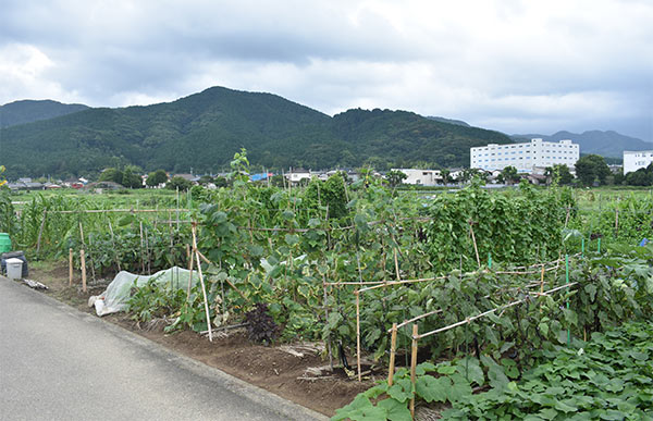 田園風景が広がる久山町