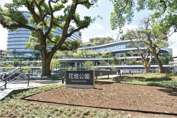 大型複合施設「SAKURA-MACHI-Kumamoto」と花畑公園