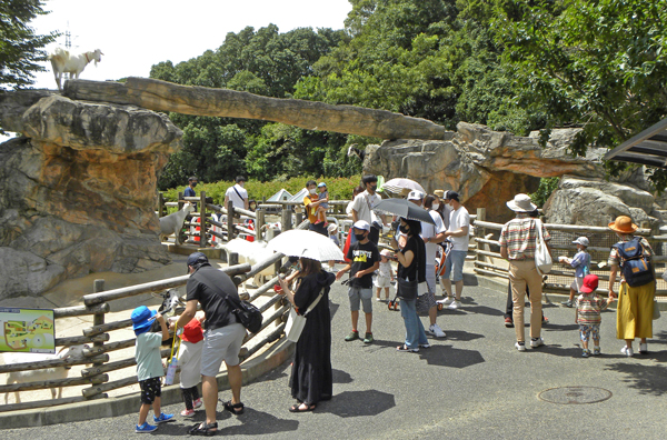夏休みに入り家族連れでにぎわう園内