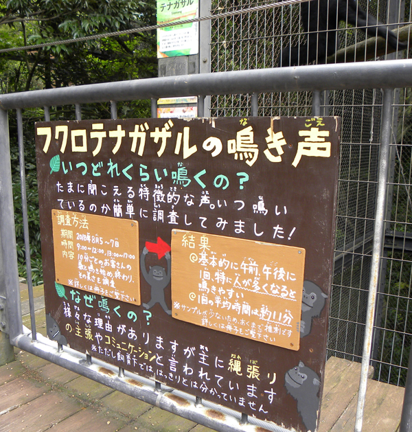 フクロテナガザルを紹介する飼育員手作りの看板