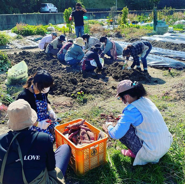 「ソライコ」での作業の様子