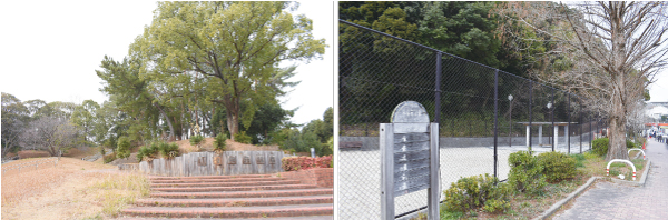 （左）小笹中央公園　（右）小笹南公園
