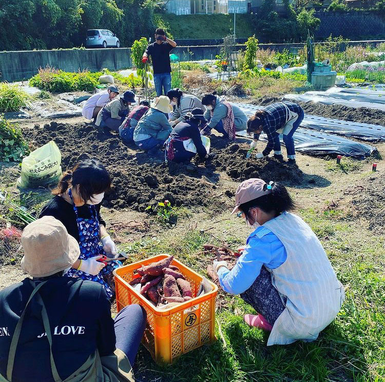 「ソライコ」での作業の様子