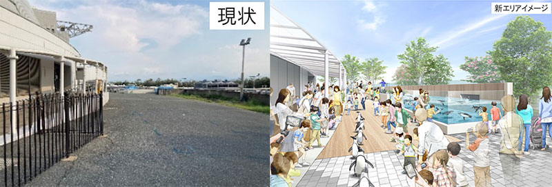 左:ペンギンビーチ現状 / 右:開設後のイメージ