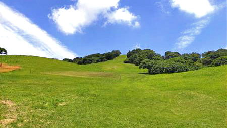 基山（きざん）山頂の草スキー場