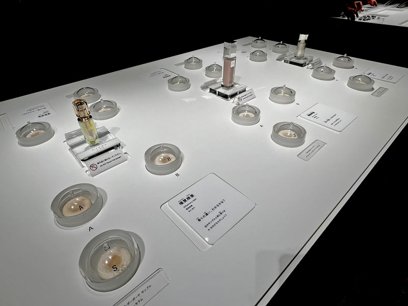 見学では、官能パネラー体験ができる