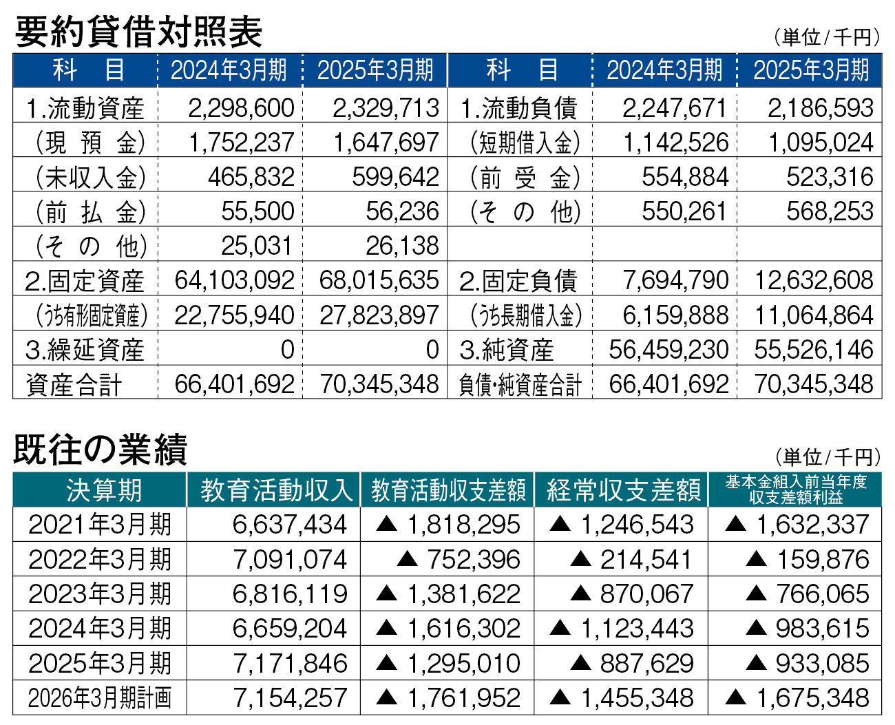 要約貸借対照表/既往の業績