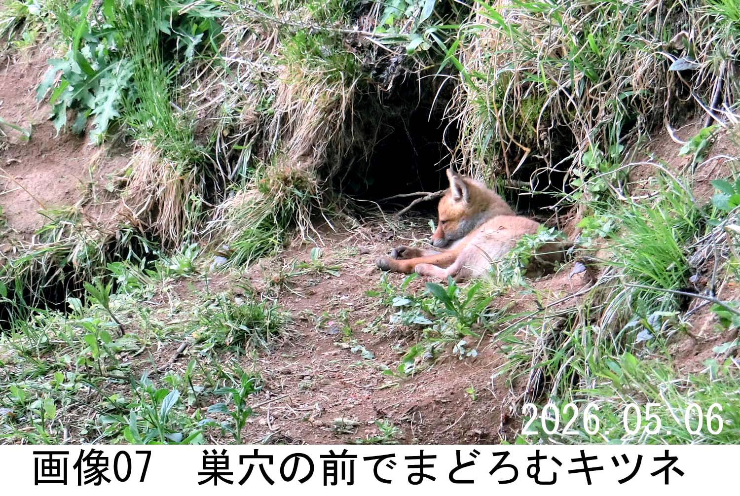 画像07