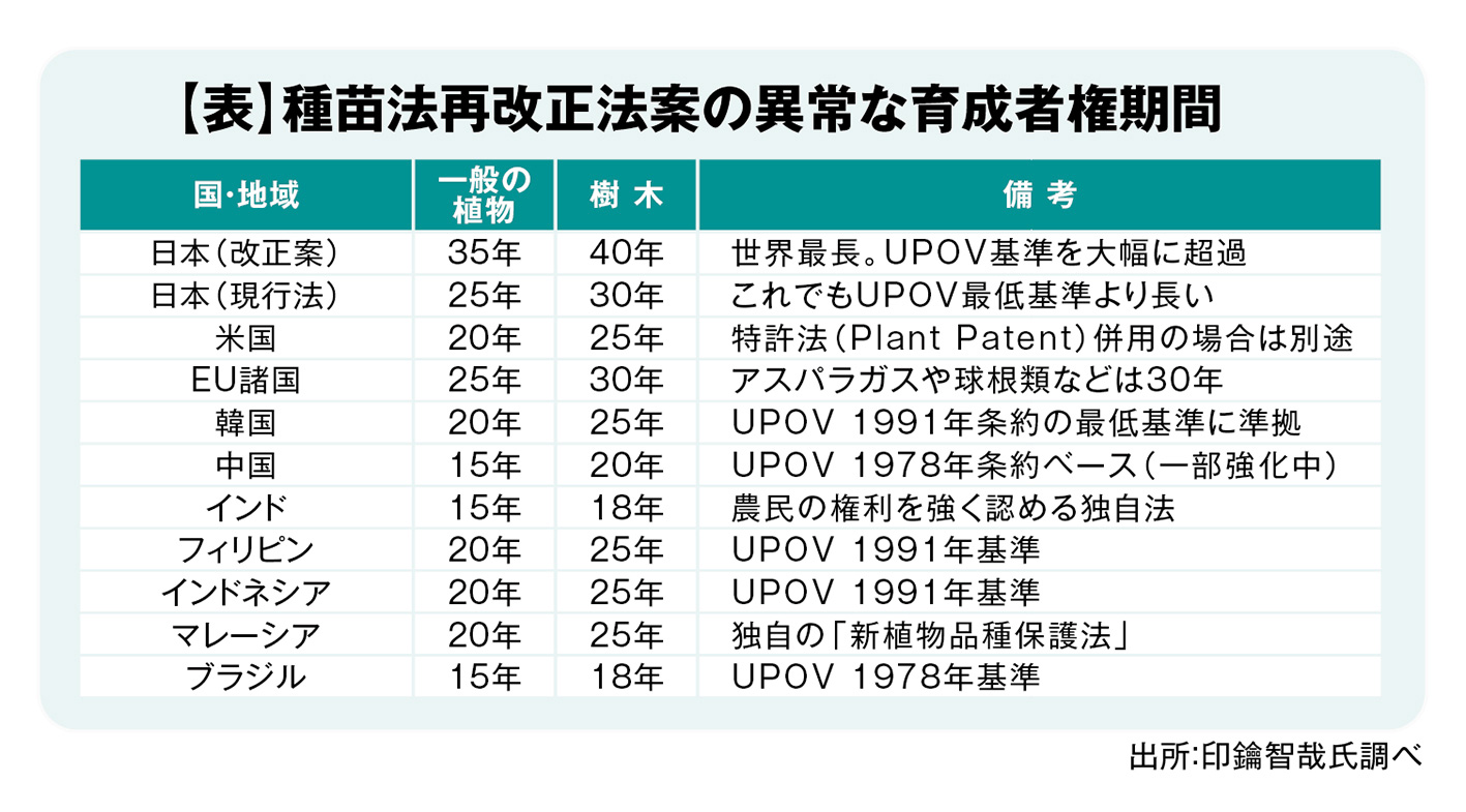 種苗法再改正法案の異常な育成者権期間