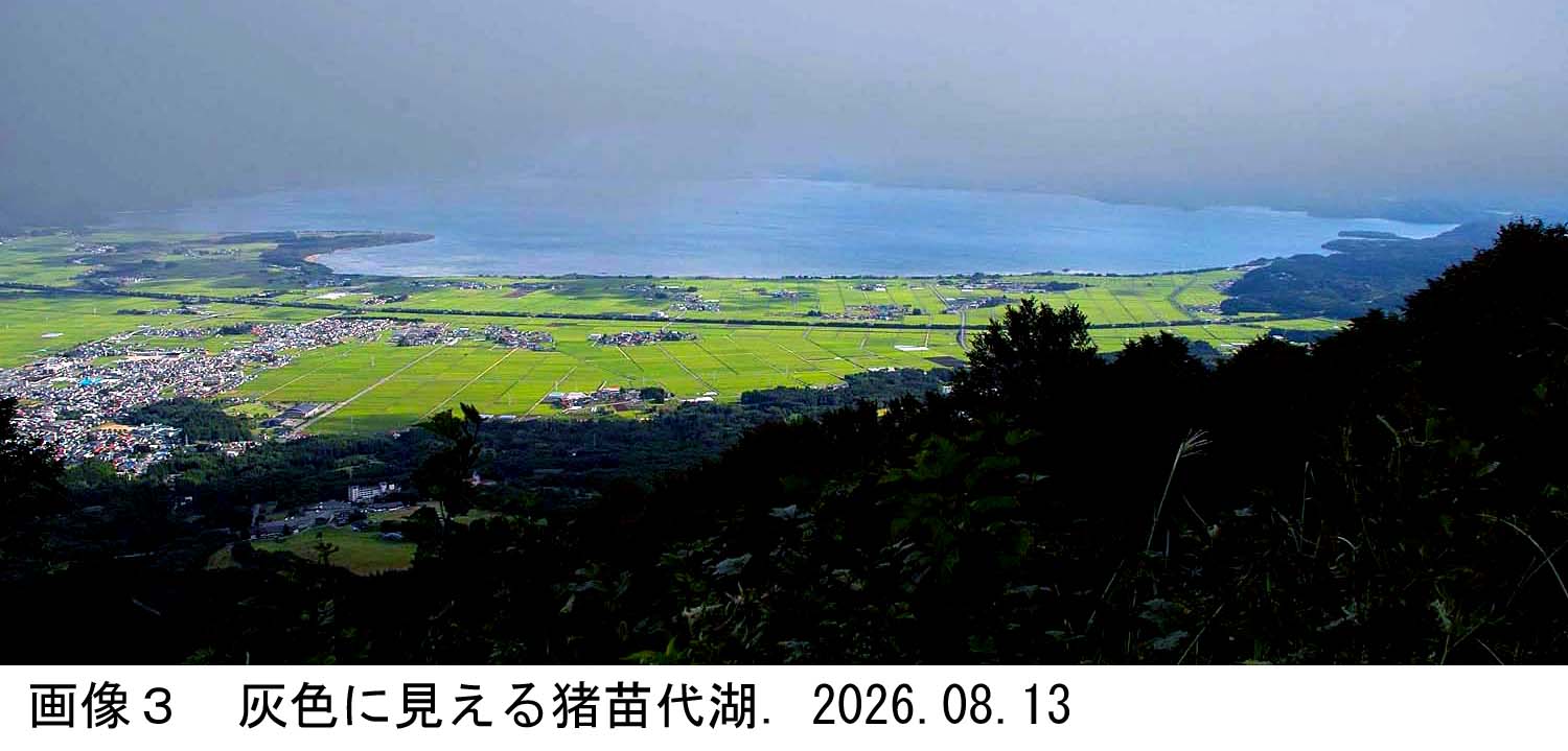 画像3