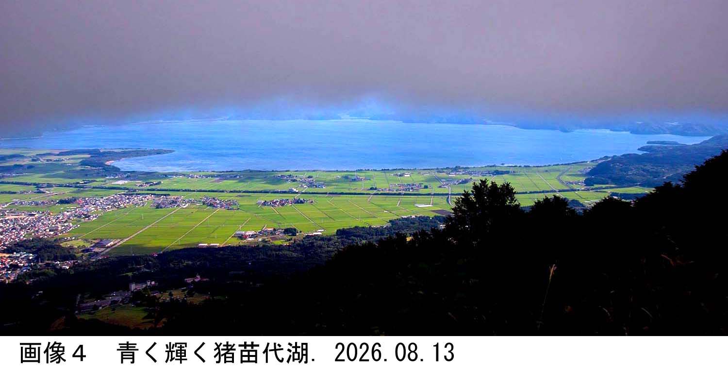画像4
