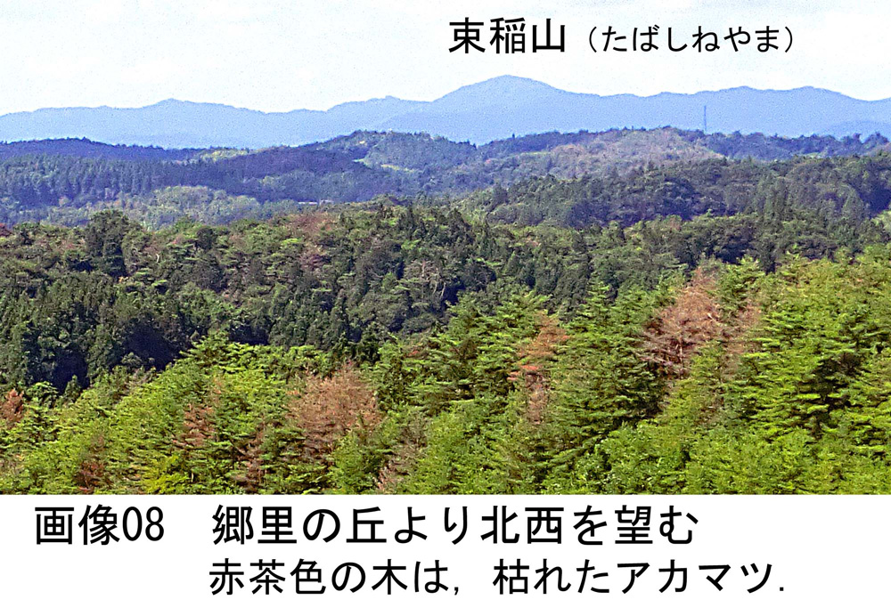 画像08
