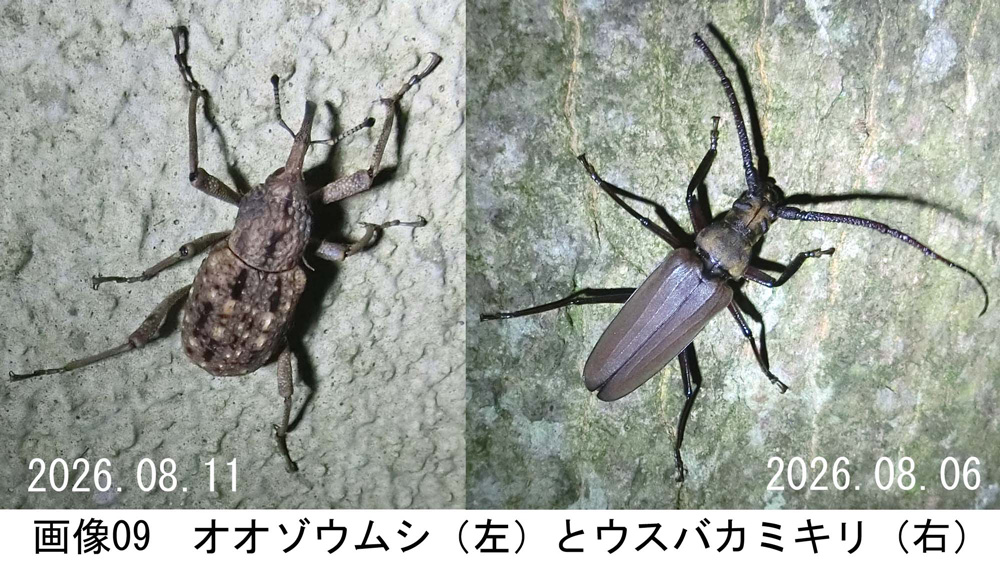 画像09