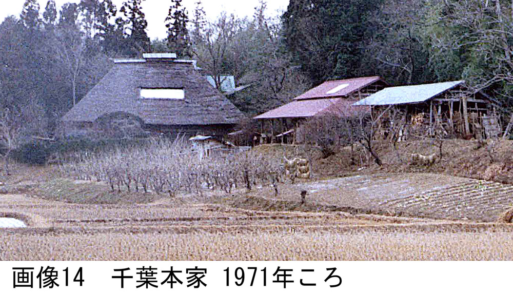 画像14