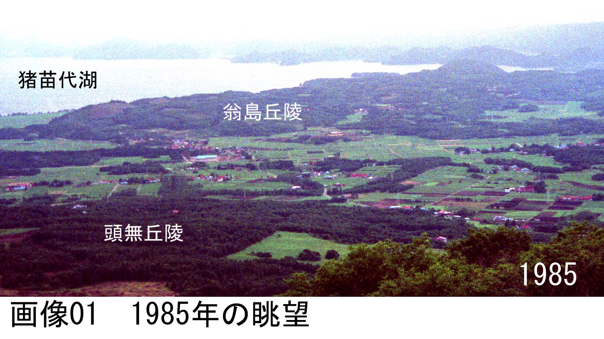 画像01