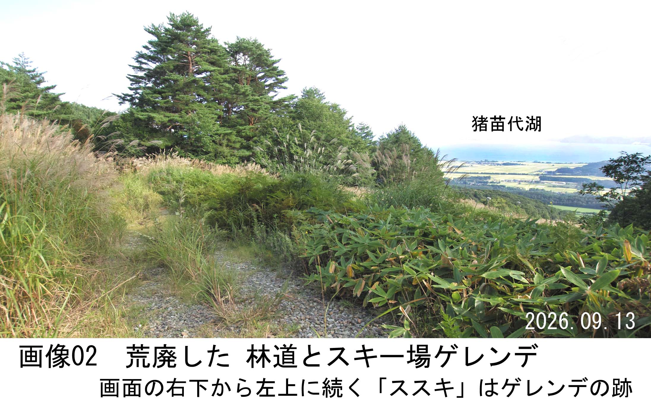 画像02