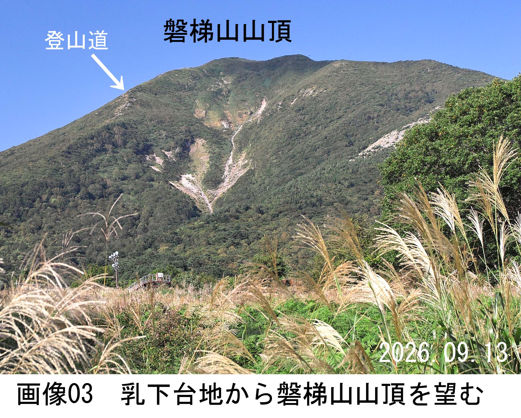 画像03