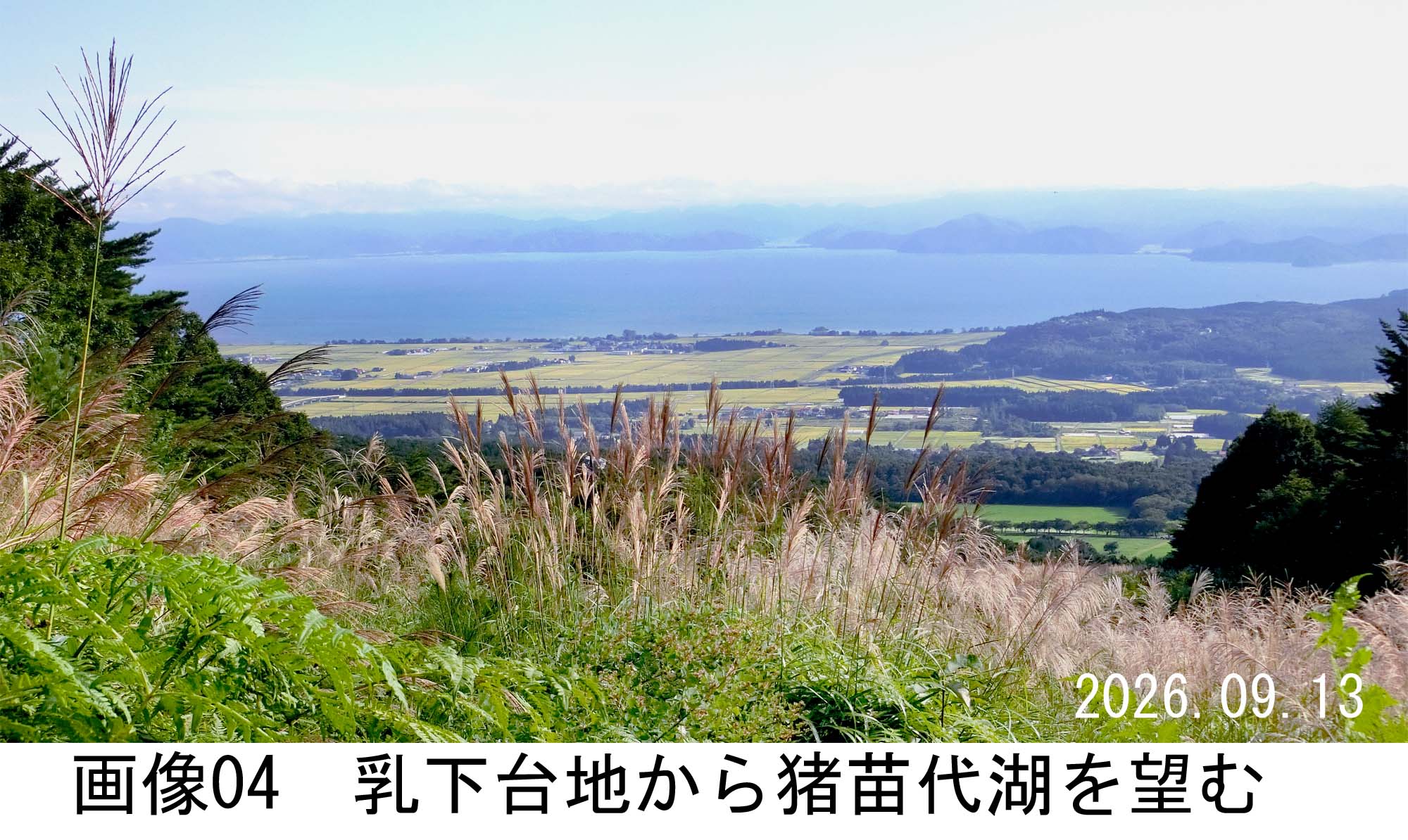 画像04
