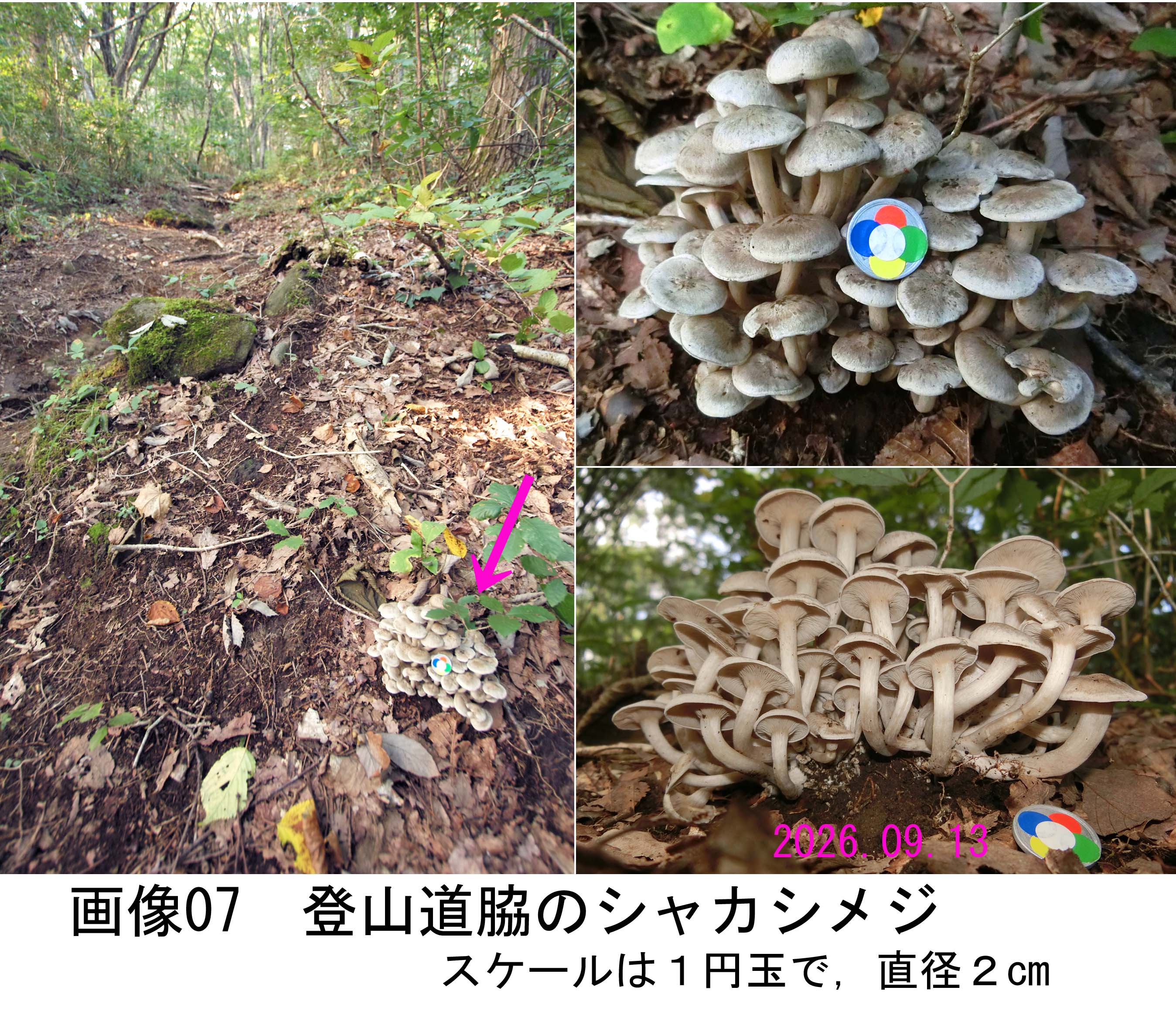 画像07