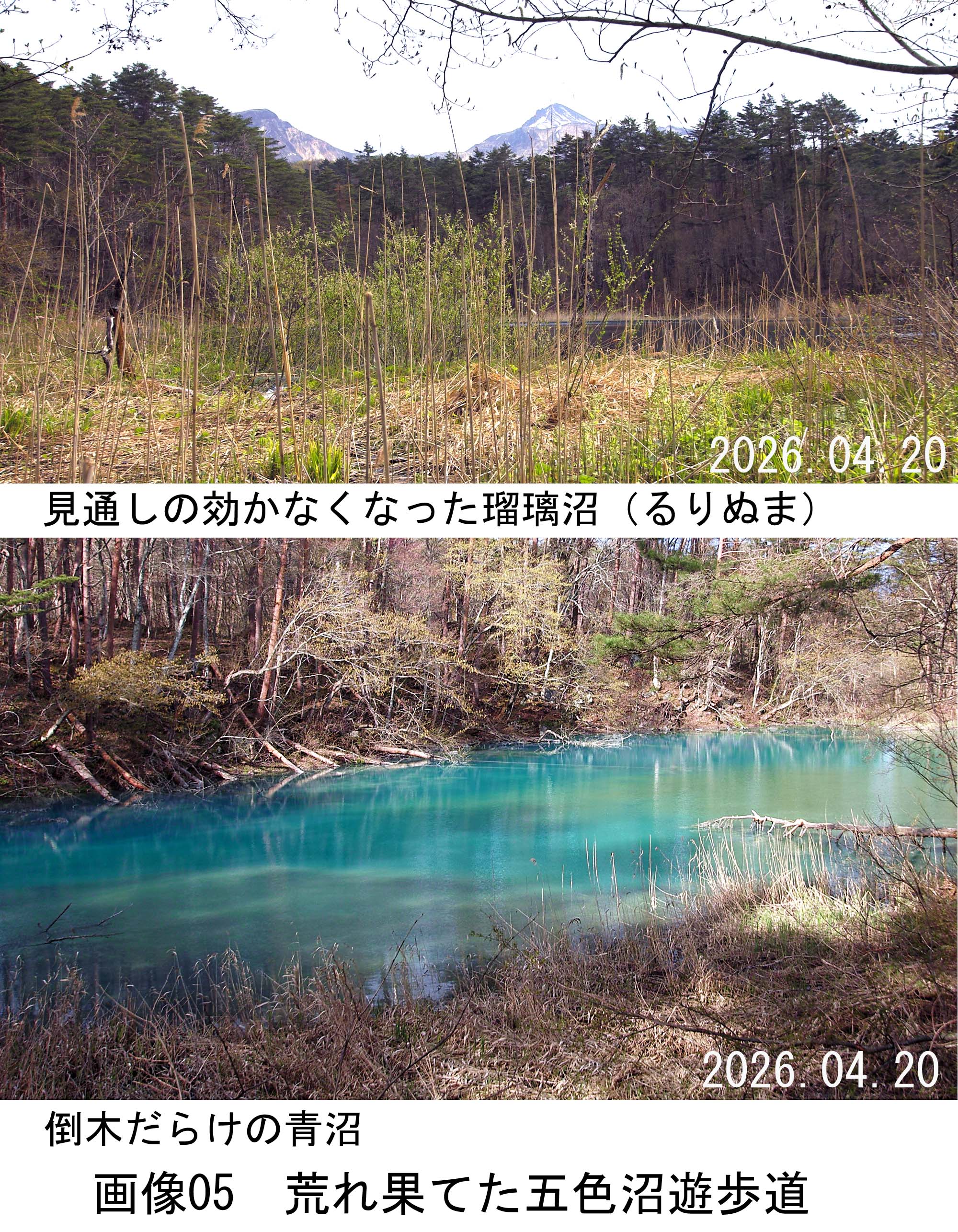 画像05