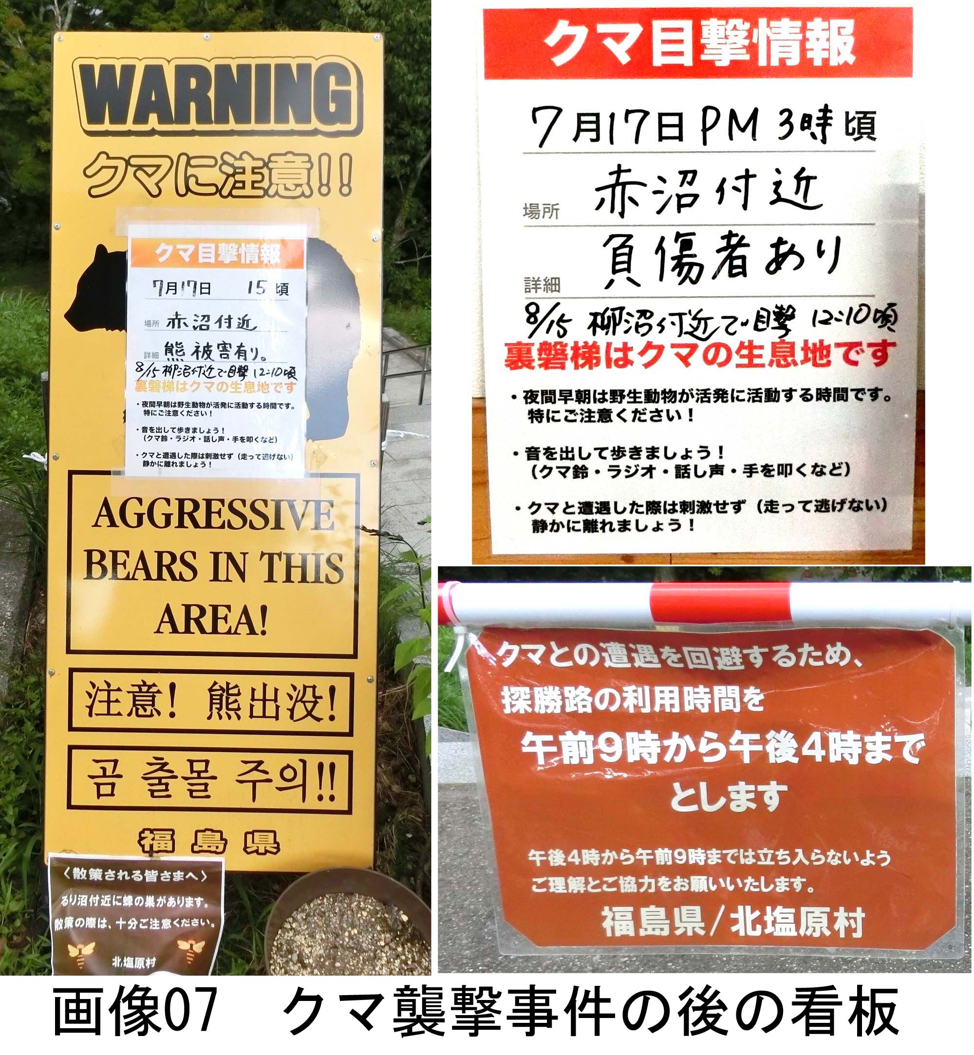 画像07