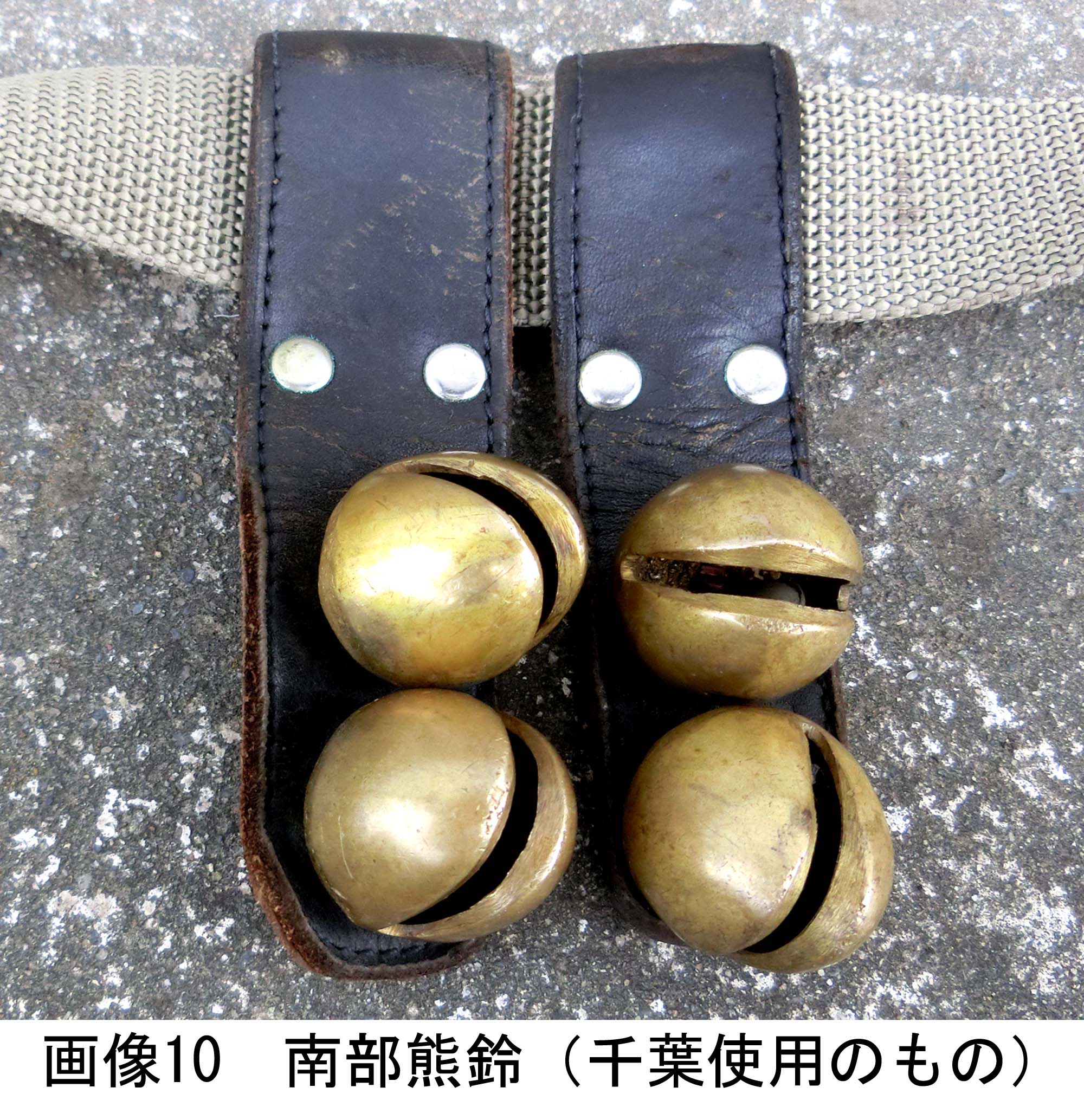 画像10