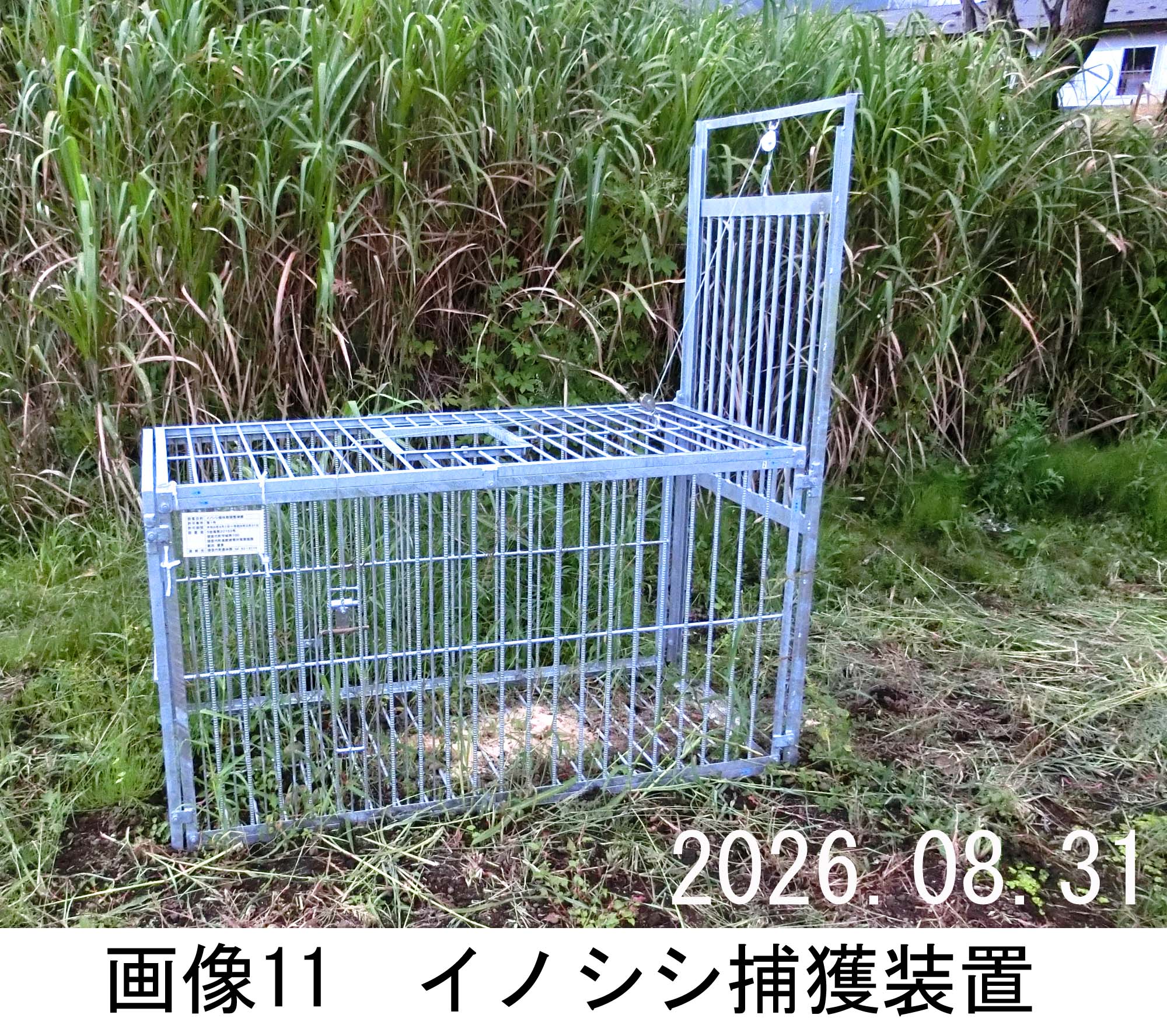 画像11