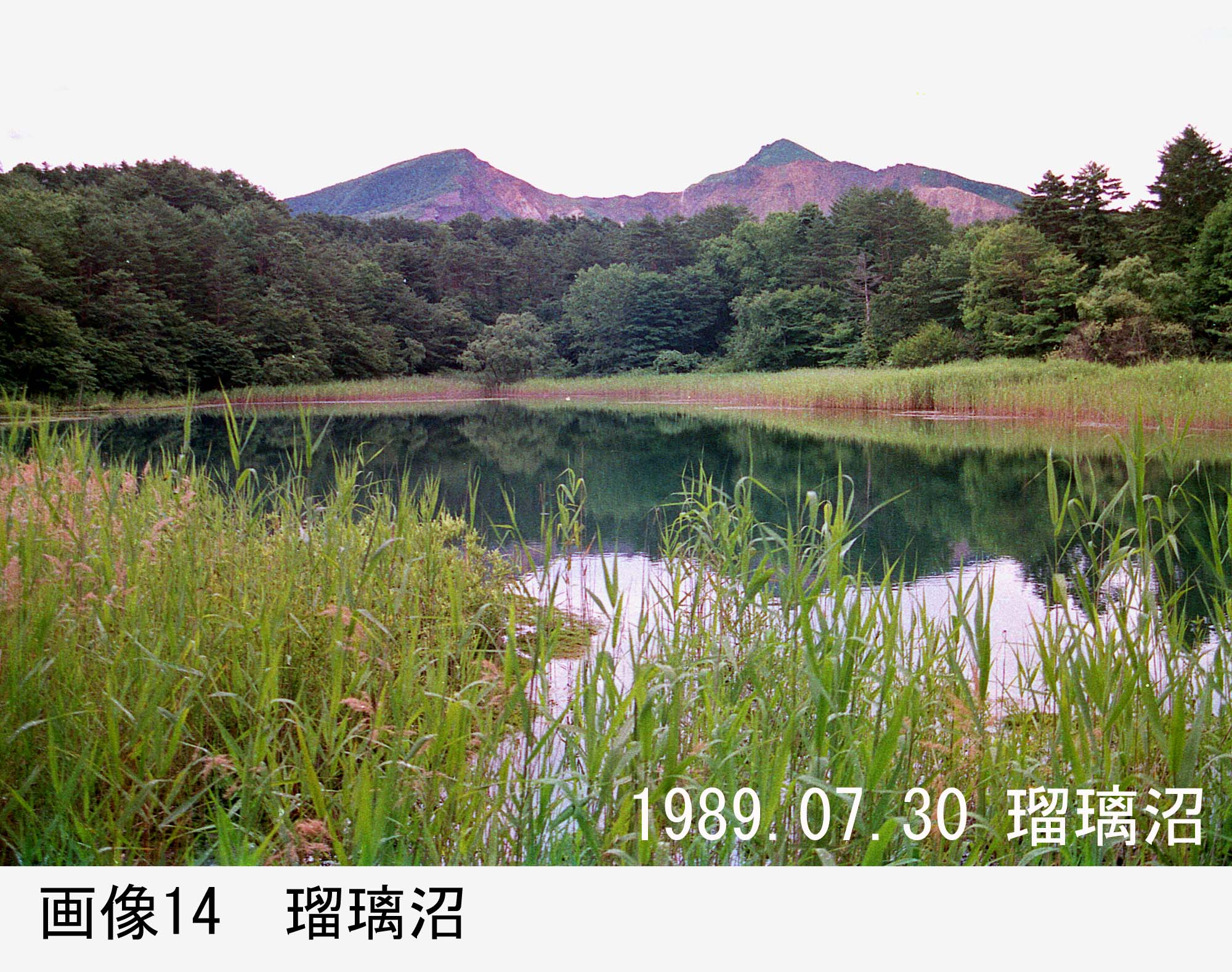 画像14