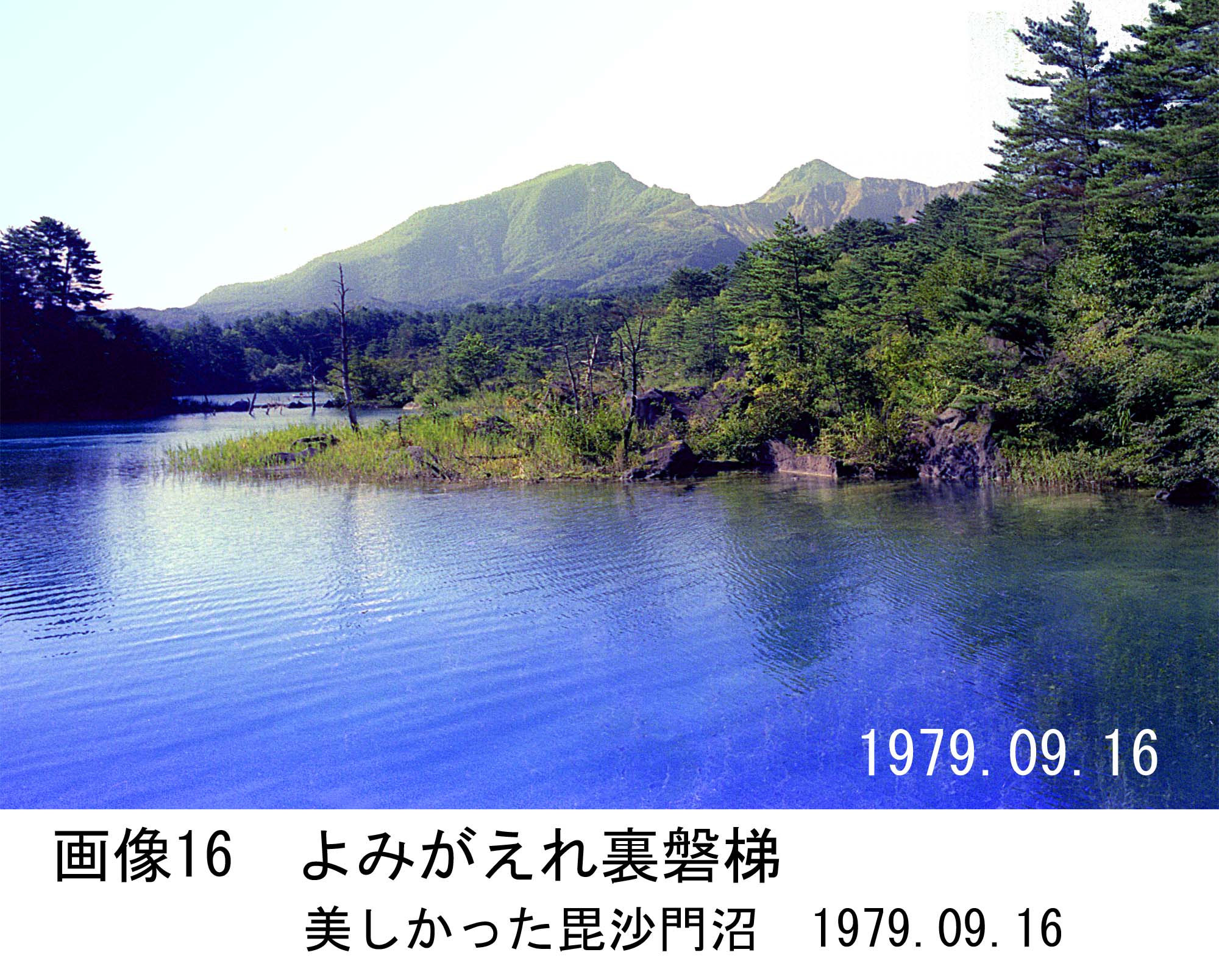 画像16