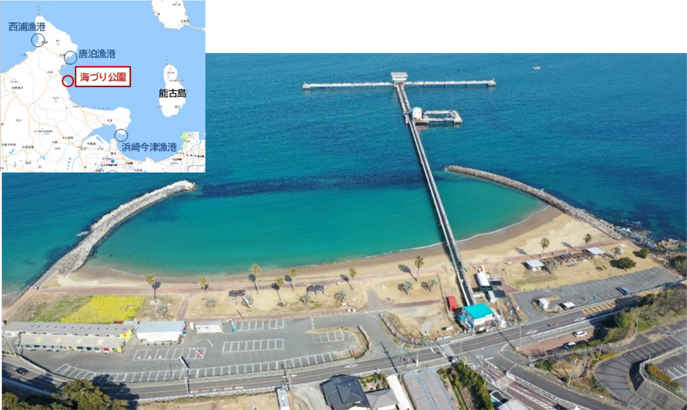 海づり公園(リニューアル前) 市公表資料より