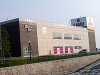 ib_1537_0531_01.jpg