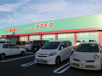 ib_1562_0830_05.jpg