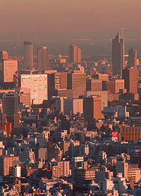この倒産劇により、不動産不況はいよいよ...