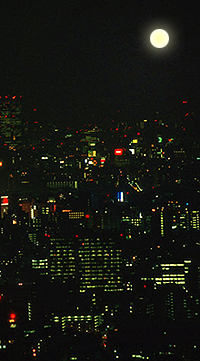 申立当日に帰宅したのは夜10時過ぎだったと思う...