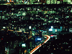 その後、11月下旬のある夜...