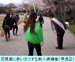 花見練り歩き／2011福岡市議選