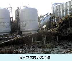 東日本大震災の爪跡
