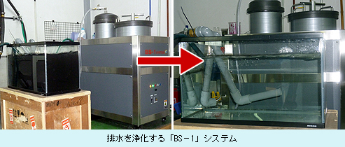 BS-1システム