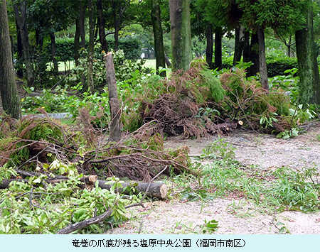 竜巻の爪痕が残る塩原中央公園