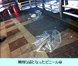 無残な姿となったビニール傘