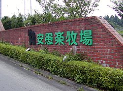 安愚楽牧場