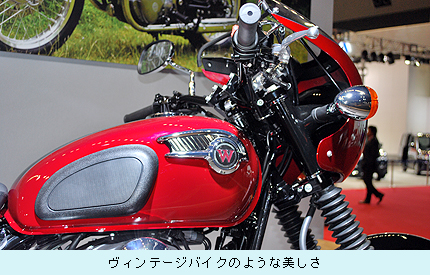 0208_w800.jpg